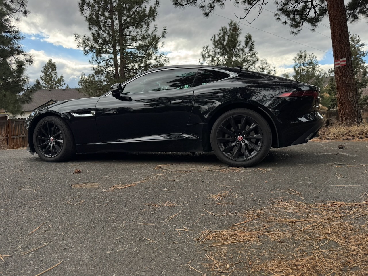 Jaguar F-Type sports car rental